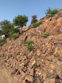 rocks and trees on the side of a hill