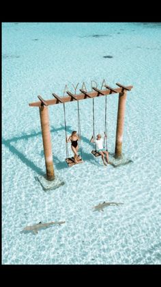 two people sitting on swings in the water with sharks swimming around them and one person standing next to them