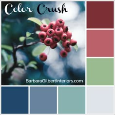 color crush with berries and leaves in the background