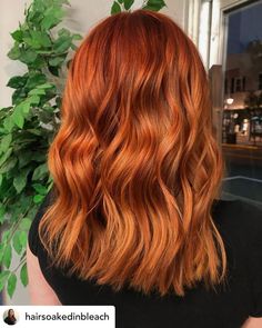 Hair Color For Fall, Blorange Hair, Pumpkin Spice Hair, Hair Color Guide, Green Mango, Perfect Hair Color, Fall Hair Color Trends, Hair Color Burgundy