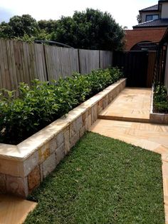 an outdoor garden area with grass and plants