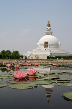 a large white building sitting next to a pond filled with water lilies