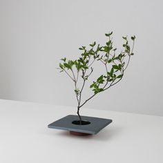 A minimalist iron ikebana vase inspired by traditional Japanese roof tiles, featuring a kenzan (flower frog) for arranging flowers. Ikebana Vases Pottery, Ikebana Vases Ceramics, Tile Vase, Marble Vases, Japanese Roof, Tile Flower, Japanese Tile, Vase Minimalist, Ikebana Vase