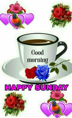 a coffee cup with roses on it and the words good morning happy sunday written below