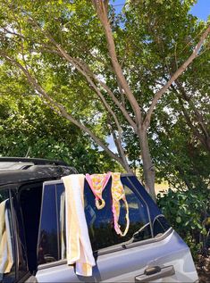 a car parked in front of a tree with towels hanging from it's roof