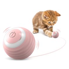 a kitten playing with a pink ball on the floor next to it's tail