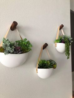 three white hanging planters with succulents and wood handles on the wall