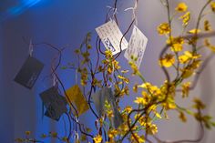 a vase filled with yellow flowers sitting on top of a table next to a blue wall