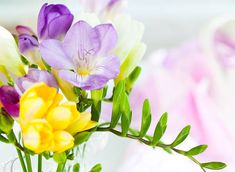 a vase filled with lots of different colored flowers