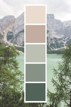 the color palette is green, brown, and gray with mountains in the background for this image