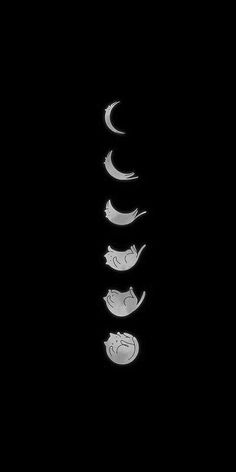 the moon and phases are shown in black and white