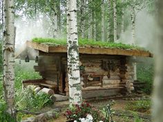 an old log cabin in the woods with moss growing on it's roof and windows