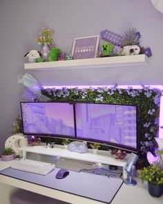 two computer monitors sitting on top of a desk in front of a purple wall with flowers