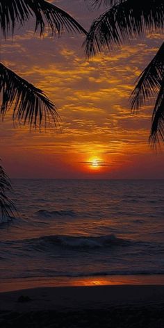 the sun is setting over the ocean with palm trees