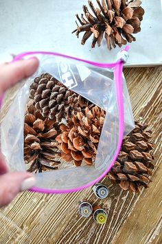 a person is holding a clear bag with pine cones in it on a wooden table