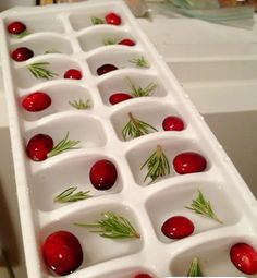 an ice tray filled with cherries and rosemary