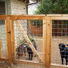 two goats in a fenced off area next to a house