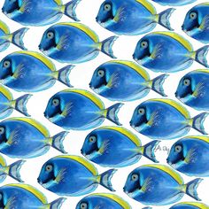 many blue and yellow fish swimming in the ocean