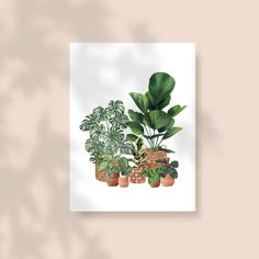 a painting of potted plants on a white background