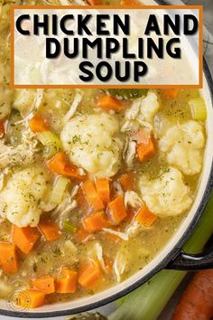 chicken and dumpling soup in a pot with carrots, celery and potatoes