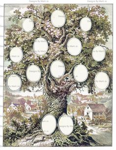 a family tree is shown with six frames on it's branches and the names of people