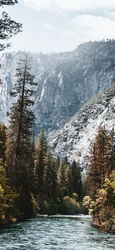 a river running through a forest filled with lots of tall trees and snow covered mountains in the background