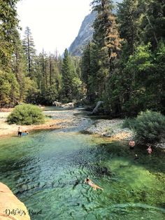 people are swimming in the water near some trees