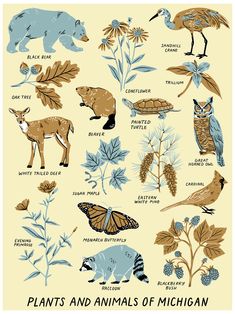 a poster with animals and plants on it