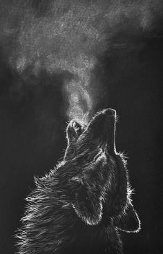 Black Paper Art, Scratchboard Art, Black Paper Drawing, White Drawing, Paper Drawing, Black And White Drawing, Wolf Art, A Wolf, Black Paper