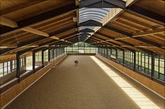 the inside of a building with lots of windows on each side and an enclosed area for horses to walk around