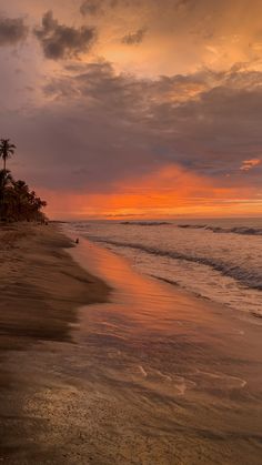 the sun is setting over the ocean with palm trees in the distance and people walking on the beach