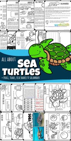 the sea turtles worksheet with pictures and instructions for making them look like they're