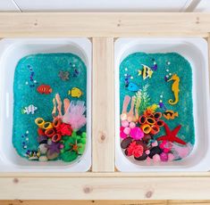 two trays filled with different types of sea animals and plants on top of each other