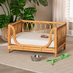 a bamboo crib next to a dog bowl and potted plant on the floor