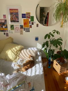 a cat laying on top of a bed next to a potted plant in a bedroom