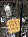 a yellow square shaped object hanging from the side of a metal pole in front of trees