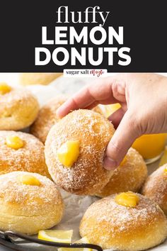 These lemon donuts are soft and fluffy yeasted donuts, baked not fried, filled with a sweet and tangy lemon curd and coated in lemon sugar. These are a lemon lovers dream. Why you'll love them: Lemon, lemon, lemon and a sweet donut. Easy to make but factor in rising time for the dough. The donut itself is incredibly tender and soft, while the filling has a creamy, soft texture. Lemon Fritters Recipe, Baked Lemon Donut Recipes, Delicious Donuts Recipe, Lemon Baked Goods, Donut Fillings, Lemon Donuts Recipe, Donut Delight, Fried Desserts