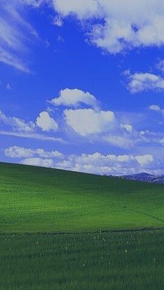 a green field under a blue sky with clouds in the background and a lone tree