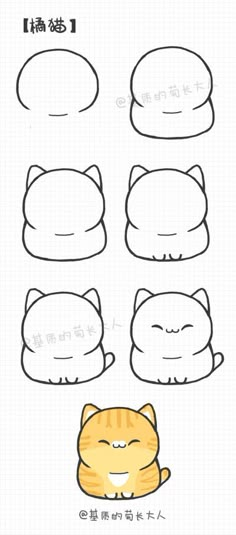 the instructions for how to draw a cartoon cat with different facial expressions and head shapes