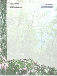 an image of a forest with flowers in the foreground and trees in the background