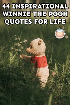 a teddy bear sitting in the grass with text overlay that reads, inspirational winnie the pooh quotes for life