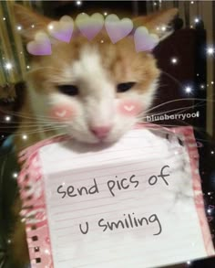 an orange and white cat holding a sign that says send pics of us smiling