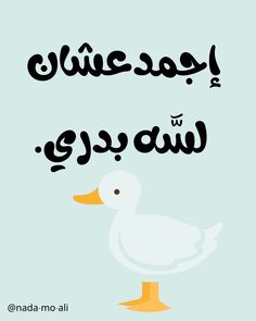 a white duck with arabic writing on it's face and the words in english