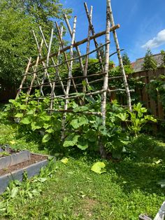 an old wooden ladder in the middle of a garden with plants growing out of it