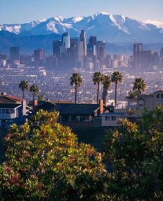 the city is surrounded by palm trees and snow capped mountains in the distance, as seen from an overlook point