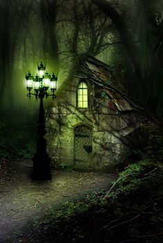 a green light shines on an old house in the woods