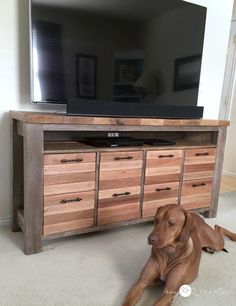 a brown dog laying on the floor in front of a flat screen tv and dresser