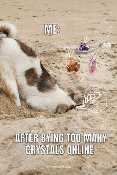 "Me after buying one too many crystals online... Oops, I did it again! 🤷‍♀️💎 #CrystalAddict #CrystalsBeLike" Crystal Quotes, Oops I Did It Again, I Did It Again, Healing Gemstones, Handmade Gemstone Jewelry, Amethyst Healing, Gemstone Jewelry Handmade, I Did It