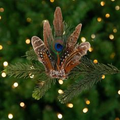 a peacock feather ornament hanging from a christmas tree