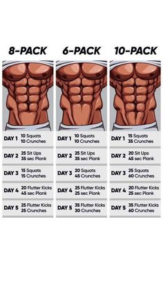 the six day program for men to gain their back muscles and build muscle absor